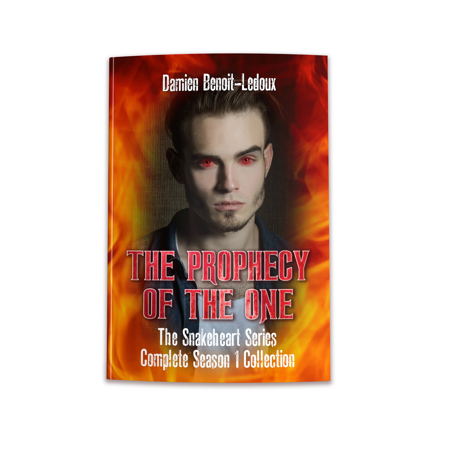 The Prophecy of The One (Season 1 Box Set) (paperback)